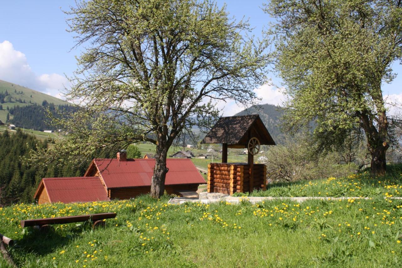 Villa Polonyna Werchowyna Exterior foto