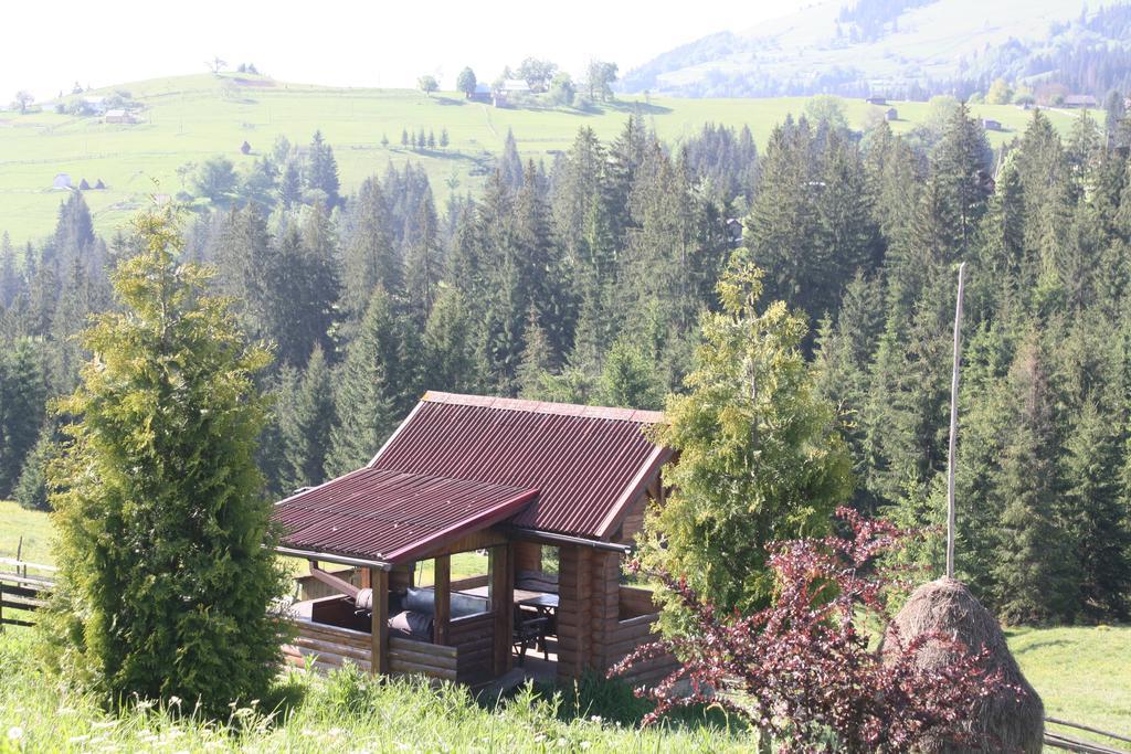 Villa Polonyna Werchowyna Exterior foto