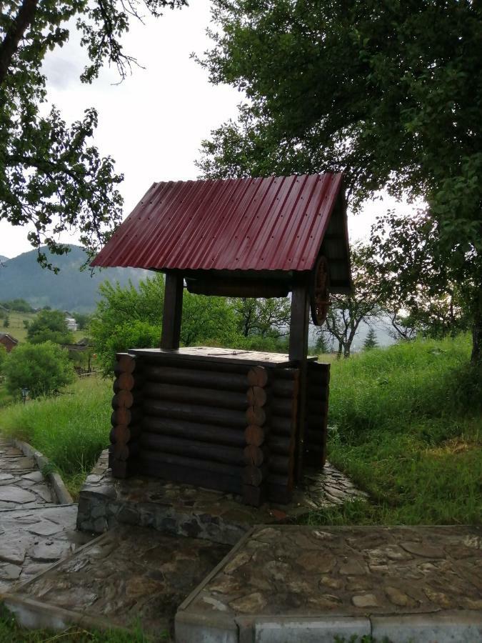 Villa Polonyna Werchowyna Exterior foto